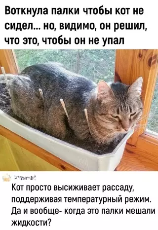 Смешная картинка №697078