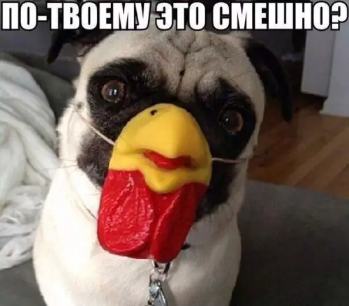 Смешная картинка №180830