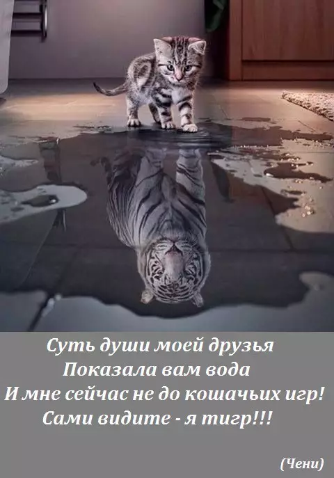 Смешная картинка №197195 Зазеркалье 