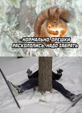 Смешная картинка №669048