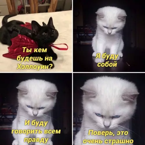 Смешная картинка №663391 Хеллоуин 