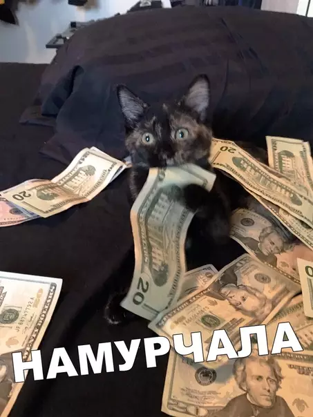 Смешная картинка №401722