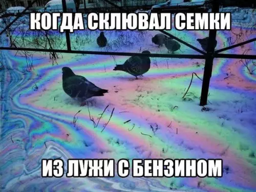 Смешная картинка №186124