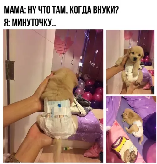 Смешная картинка №387981