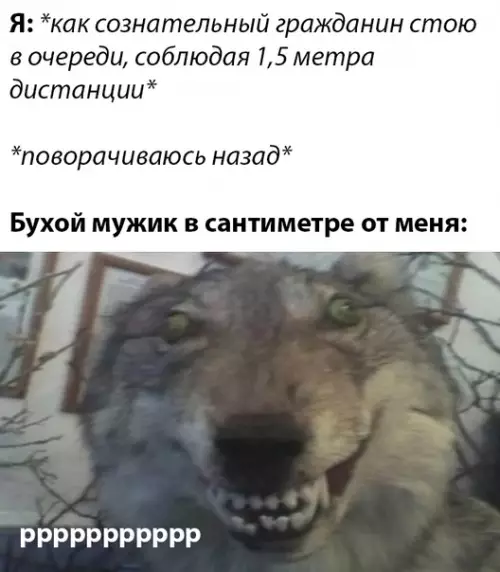 Смешная картинка №491137