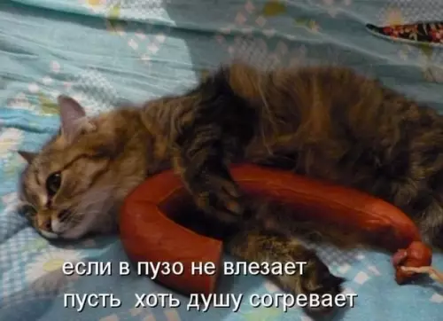 Смешная картинка №198455