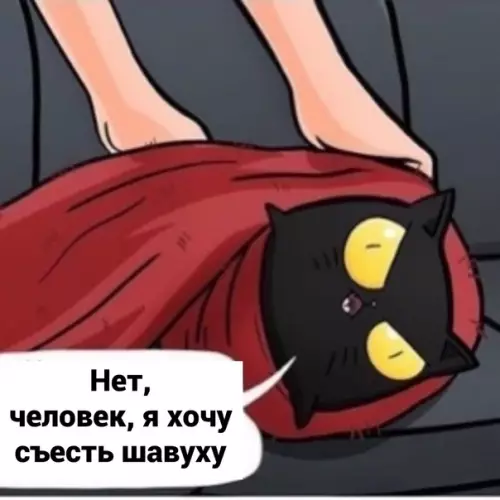 продолжение Смешная картинка №584448 Кот-шаурма