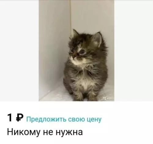 Смешная картинка №691298 Она сразу после того, как я сел играть на полчаса: