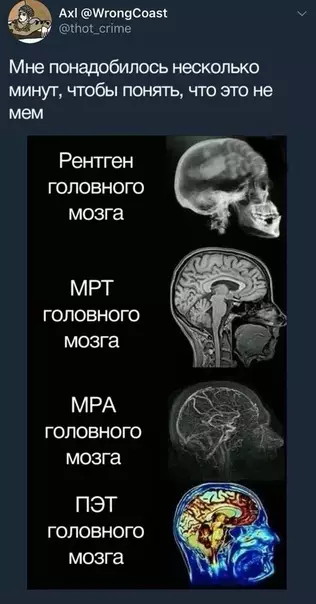 Смешная картинка №283646 Нас испортили мемы.