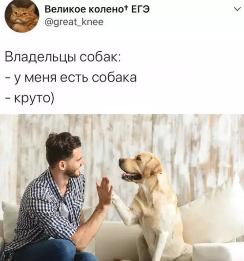 Смешная картинка №524365 Крайне жизненно.