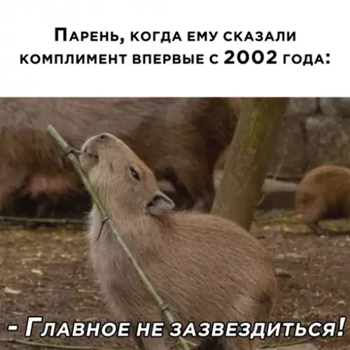 Смешная картинка №643575