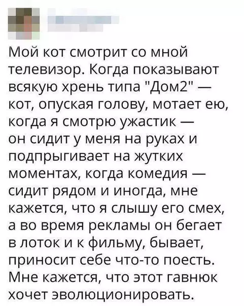 Смешная картинка №201523