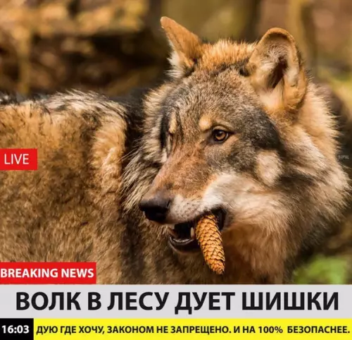 Смешная картинка №214412