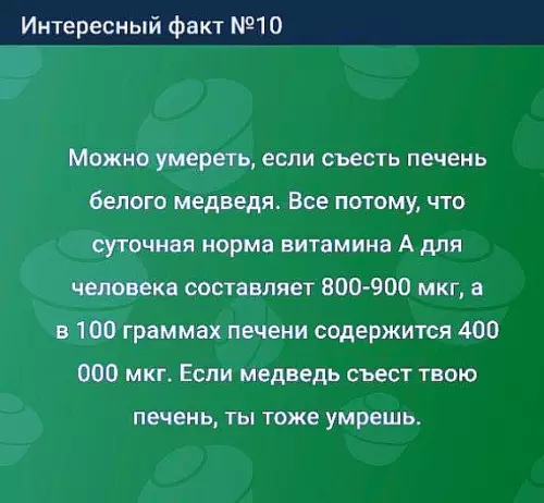 Смешной факт о медведях