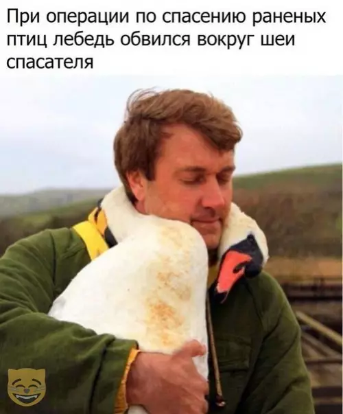 Смешная картинка №336188 #приколы #картинки #мемы ?