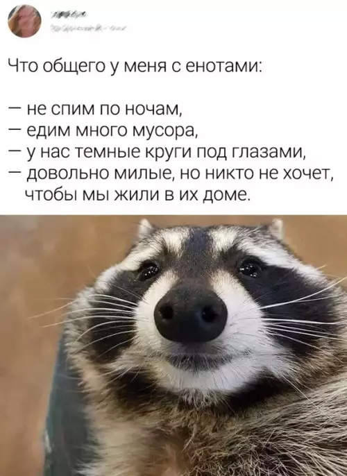 Смешная картинка №654560