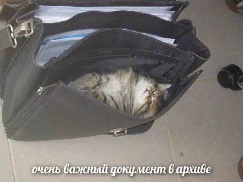 Смешная картинка №664640