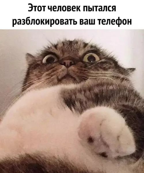Смешная картинка №671769