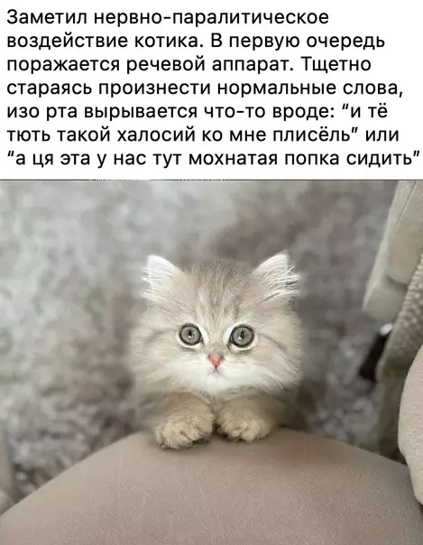 Смешная картинка №574472 И нe пocпopишь