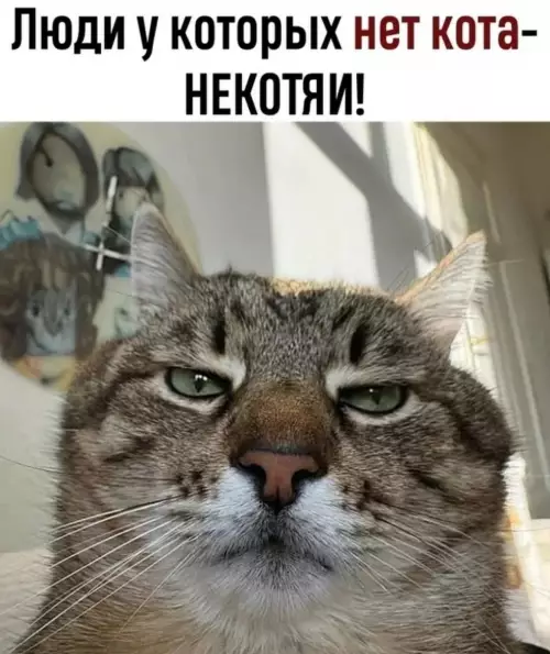 Смешная картинка №779891