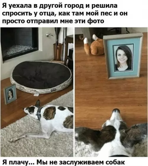 Смешная картинка №488466 Наcтоящий лучший дpуг.