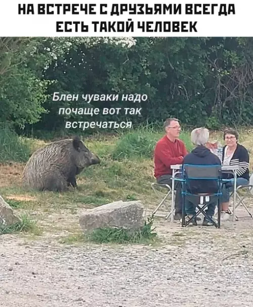 Смешная картинка №686393