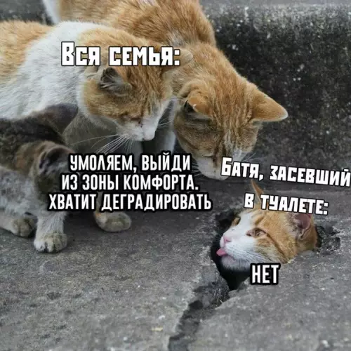 Смешная картинка №393028