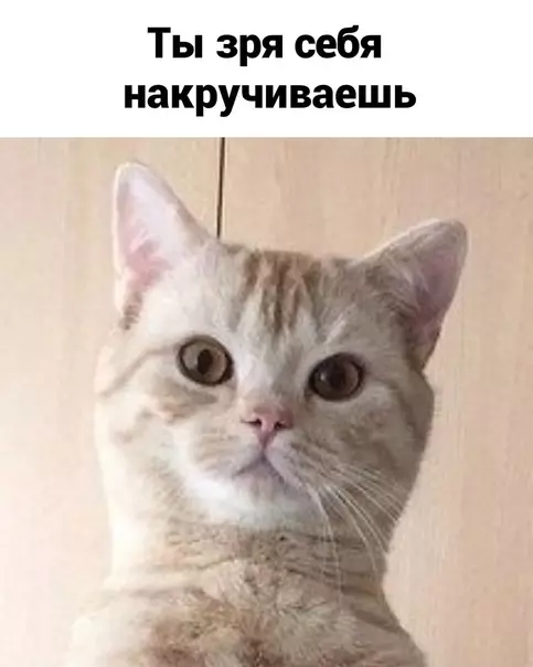 продолжение Смешная картинка №566821