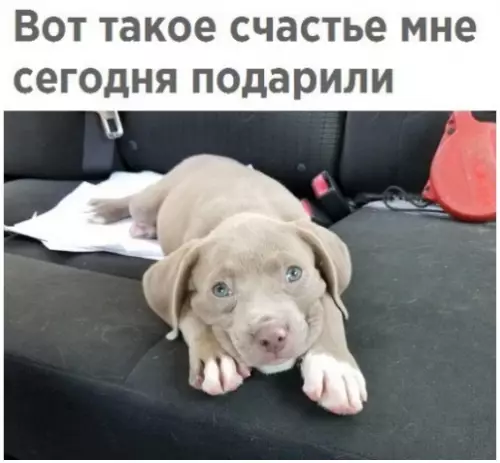 Смешная картинка №291560