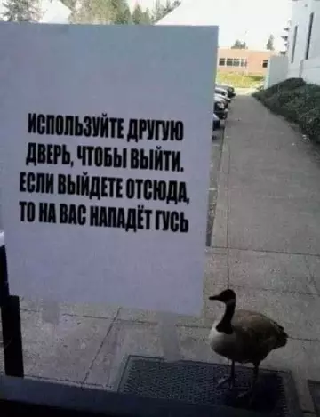 Смешная картинка №758598
