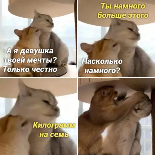 Смешная картинка №658469