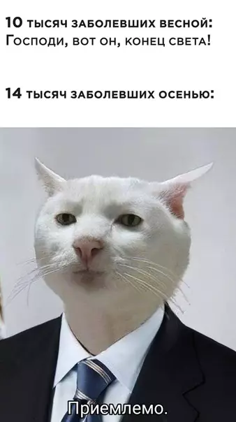Смешная картинка №530724