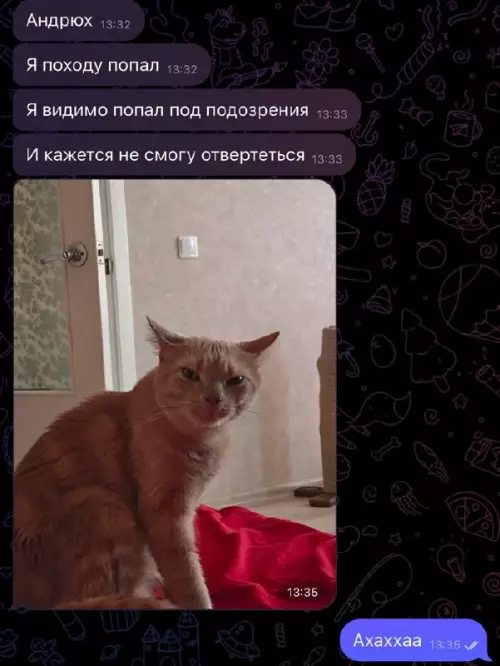 Смешная картинка №706230 Коты
