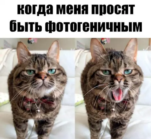 Смешная картинка №234082