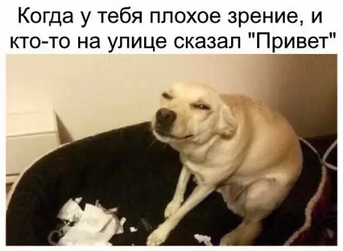 Смешная картинка №227241