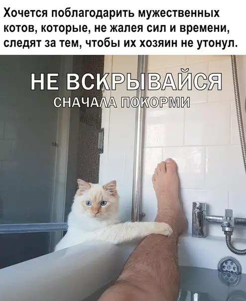 Смешная картинка №362220
