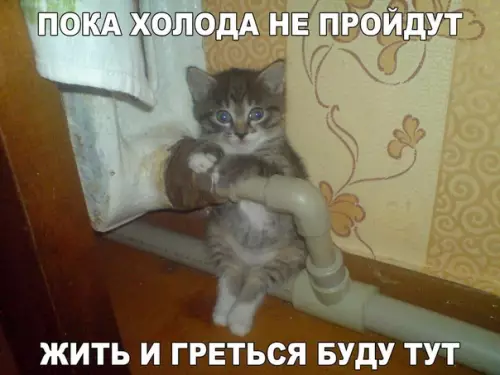 Смешная картинка №424581