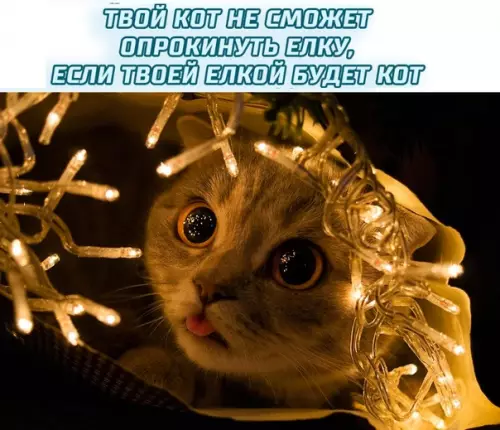 Смешная картинка №319037