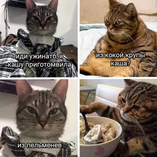 Смешная картинка №775218