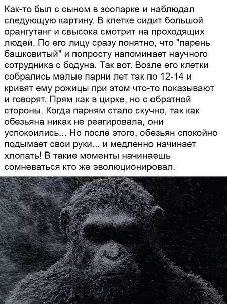 Смешная картинка №340645