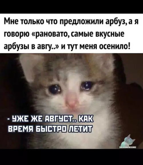Смешная картинка №374559