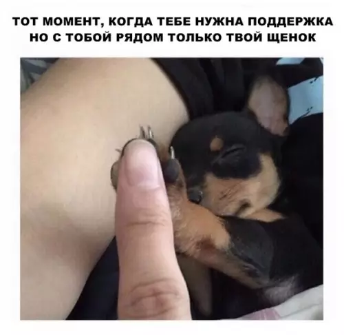 Смешная картинка №290523