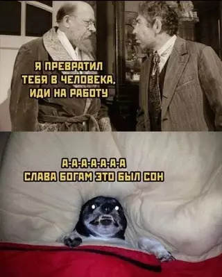 Смешная картинка №675770 Доброе утро ☀️