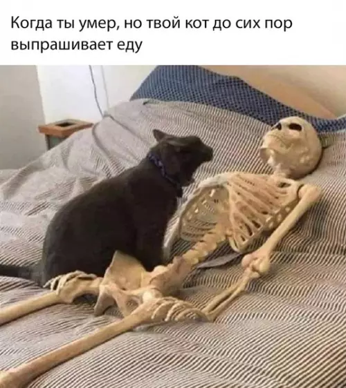 Смешная картинка №459626 Смерть вообще-то не оправдание