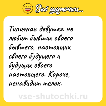 Шутка: Типичная девушка не любит бывших своего бывшего, настоящих своего будущего и будущих своего настоящего. Короче, ненавидит телок.