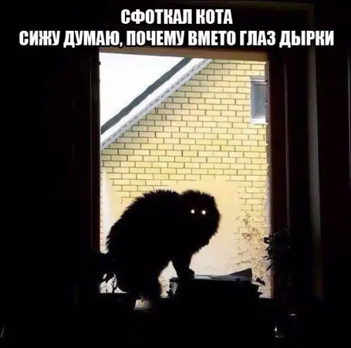 Смешная картинка №187192
