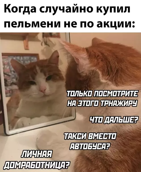 Смешная картинка №617858