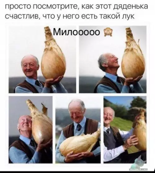 Смешная картинка №324718