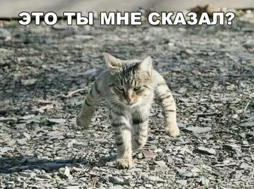 Смешная картинка №260968