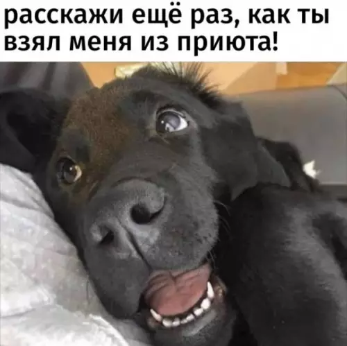 Смешная картинка №641662